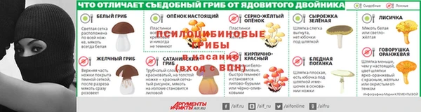 бошки Алзамай