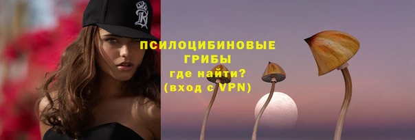 бошки Алзамай