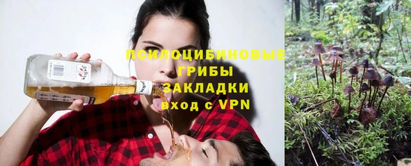 spice Покачи